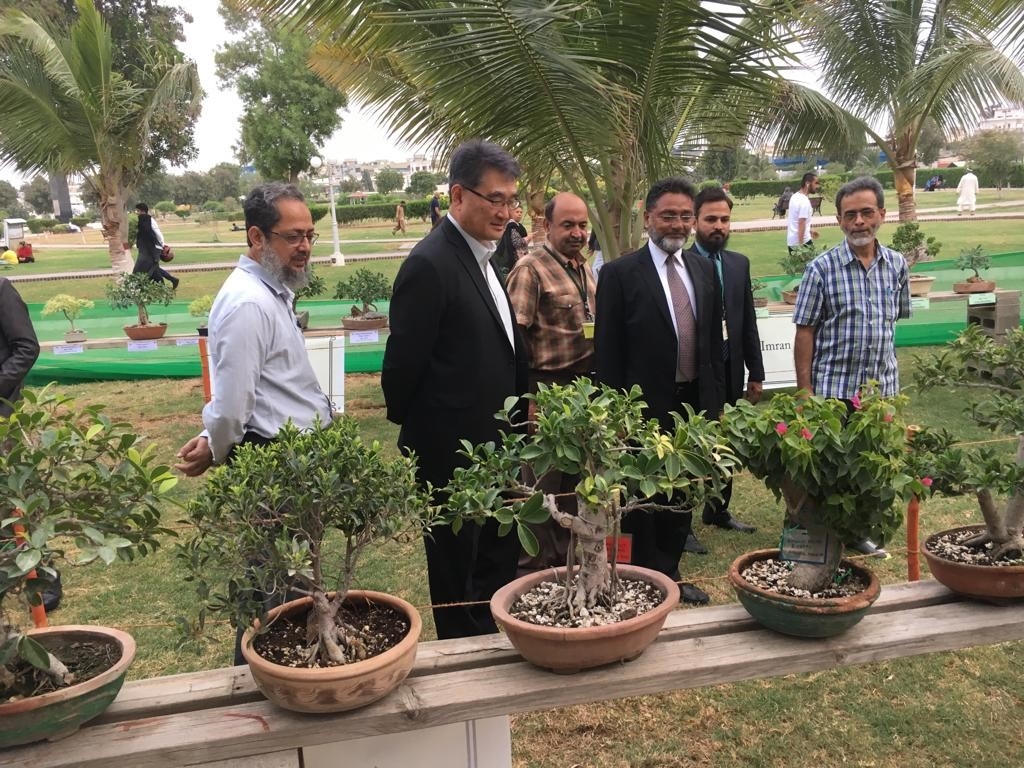 Pakistan Bonsai Society organized the 26 th annual Bonsai Exhibition at  Zamzama Park in Karachi. – Daily The Azb